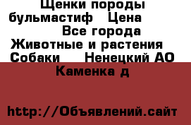 Щенки породы бульмастиф › Цена ­ 25 000 - Все города Животные и растения » Собаки   . Ненецкий АО,Каменка д.